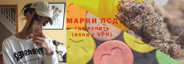 ПСИЛОЦИБИНОВЫЕ ГРИБЫ Гусев