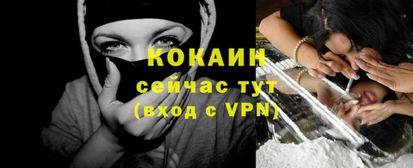 ПСИЛОЦИБИНОВЫЕ ГРИБЫ Гусев