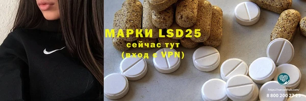 ПСИЛОЦИБИНОВЫЕ ГРИБЫ Гусев