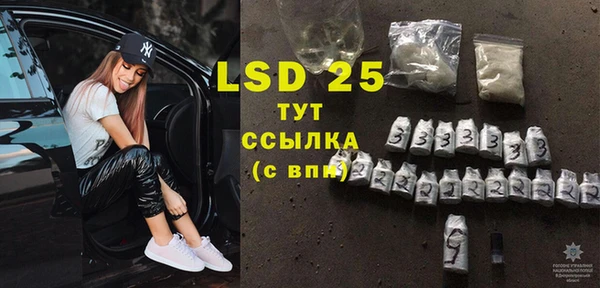 ПСИЛОЦИБИНОВЫЕ ГРИБЫ Гусев
