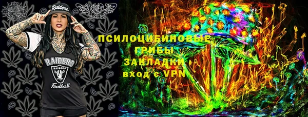 ПСИЛОЦИБИНОВЫЕ ГРИБЫ Гусев