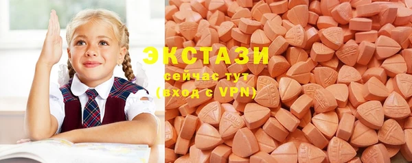 ПСИЛОЦИБИНОВЫЕ ГРИБЫ Гусев