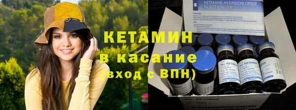 ПСИЛОЦИБИНОВЫЕ ГРИБЫ Гусев