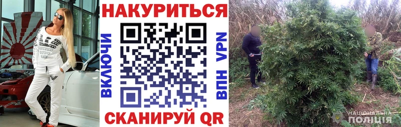 Бошки марихуана VHQ  где можно купить   Магнитогорск 